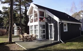 Ostsee Strandhaus Seerobbe
